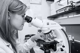 Research looking into a microscope
