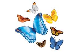 Butterfly gust