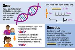 IGM Blog infographic